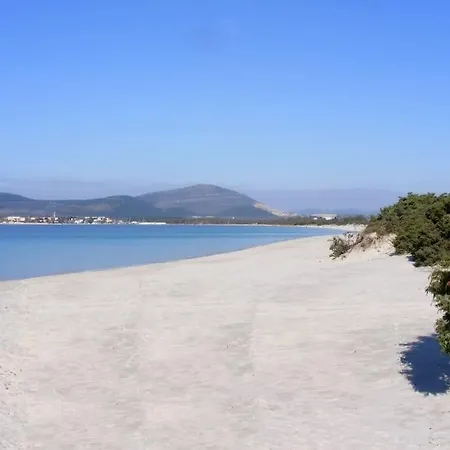 Monolocale Dina's House